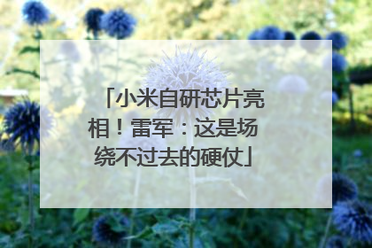 小米自研芯片亮相！雷军：这是场绕不过去的硬仗