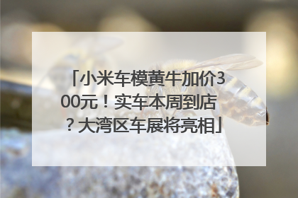小米车模黄牛加价300元！实车本周到店？大湾区车展将亮相