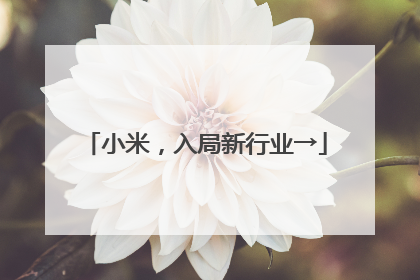 小米，入局新行业→