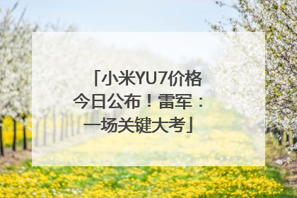 小米YU7价格今日公布！雷军：一场关键大考