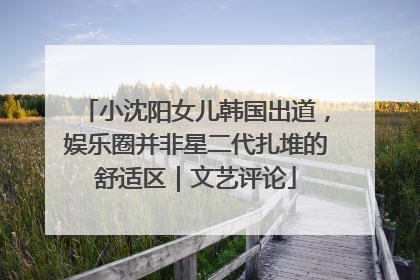 小沈阳女儿韩国出道，娱乐圈并非星二代扎堆的舒适区｜文艺评论