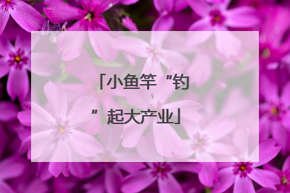 小鱼竿“钓”起大产业