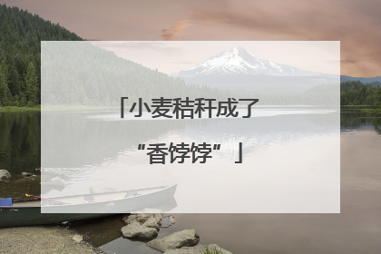 小麦秸秆成了“香饽饽”
