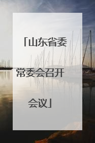 山东省委常委会召开会议
