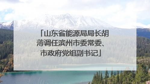 山东省能源局局长胡薄调任滨州市委常委、市政府党组副书记
