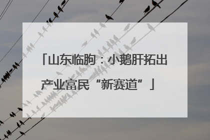 山东临朐：小鹅肝拓出产业富民“新赛道”