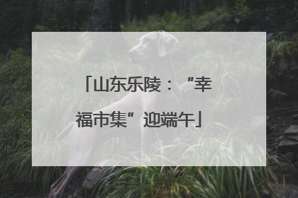 山东乐陵：“幸福市集”迎端午