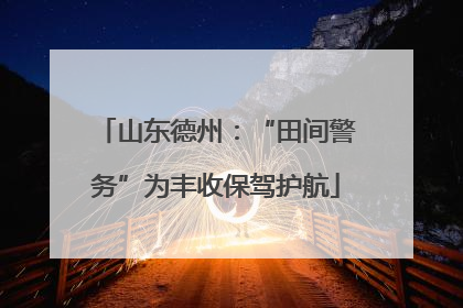 山东德州：“田间警务”为丰收保驾护航