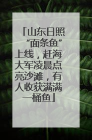山东日照“面条鱼”上线，赶海大军凌晨点亮沙滩，有人收获满满一桶鱼