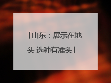 山东：展示在地头 选种有准头