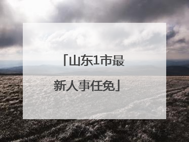 山东1市最新人事任免