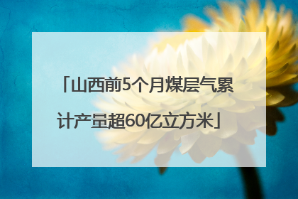 山西前5个月煤层气累计产量超60亿立方米