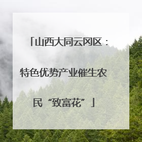 山西大同云冈区：特色优势产业催生农民“致富花”