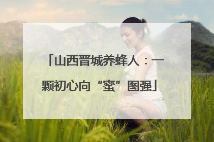 山西晋城养蜂人：一颗初心向“蜜”图强
