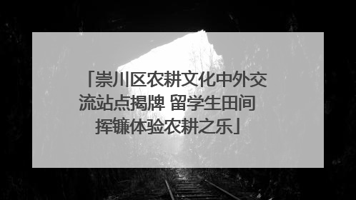 崇川区农耕文化中外交流站点揭牌 留学生田间挥镰体验农耕之乐
