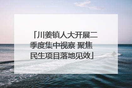 川姜镇人大开展二季度集中视察 聚焦民生项目落地见效