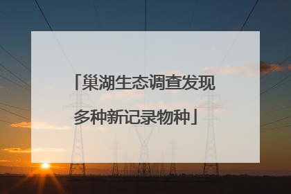 巢湖生态调查发现多种新记录物种