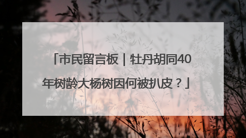 市民留言板｜牡丹胡同40年树龄大杨树因何被扒皮？