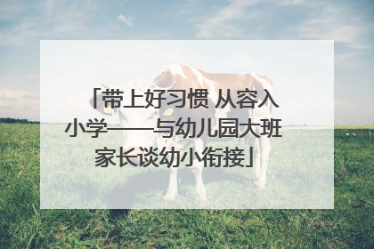 带上好习惯 从容入小学——与幼儿园大班家长谈幼小衔接