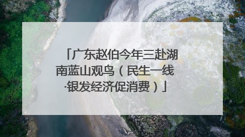 广东赵伯今年三赴湖南蓝山观鸟（民生一线·银发经济促消费）