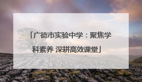 广德市实验中学：聚焦学科素养 深耕高效课堂