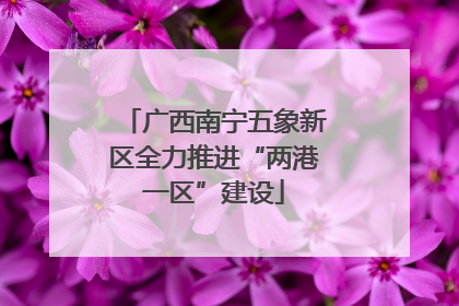 广西南宁五象新区全力推进“两港一区”建设