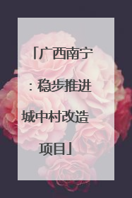 广西南宁：稳步推进城中村改造项目