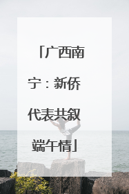 广西南宁：新侨代表共叙端午情