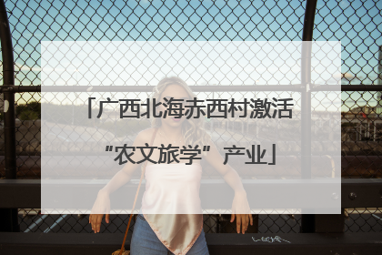 广西北海赤西村激活“农文旅学”产业
