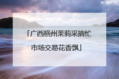 广西横州茉莉采摘忙 市场交易花香飘