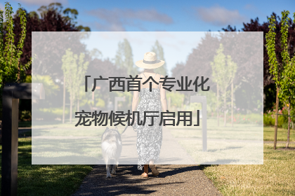 广西首个专业化宠物候机厅启用