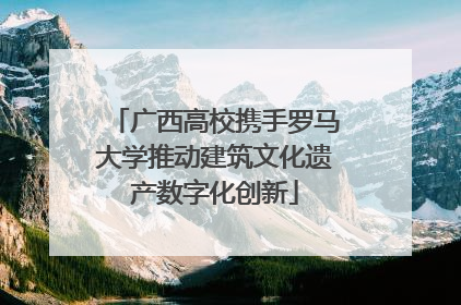 广西高校携手罗马大学推动建筑文化遗产数字化创新