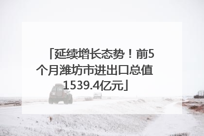 延续增长态势！前5个月潍坊市进出口总值1539.4亿元