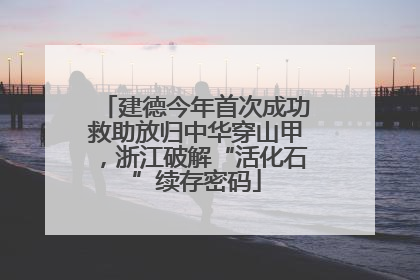建德今年首次成功救助放归中华穿山甲，浙江破解“活化石”续存密码