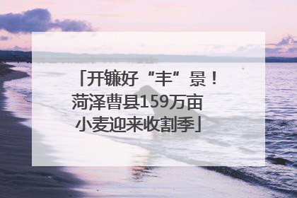 开镰好“丰”景！菏泽曹县159万亩小麦迎来收割季