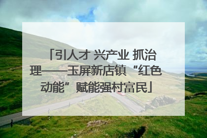 引人才 兴产业 抓治理——玉屏新店镇“红色动能”赋能强村富民