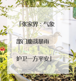 张家界：气象部门鏖战暴雨 护卫一方平安