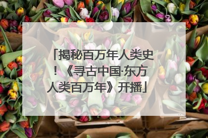 揭秘百万年人类史！《寻古中国·东方人类百万年》开播