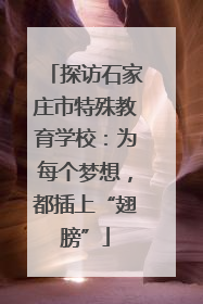 探访石家庄市特殊教育学校：为每个梦想，都插上“翅膀”
