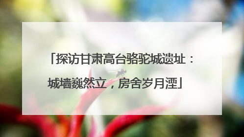 探访甘肃高台骆驼城遗址：城墙巍然立，房舍岁月湮
