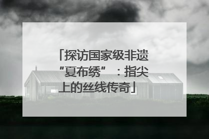 探访国家级非遗“夏布绣”：指尖上的丝线传奇