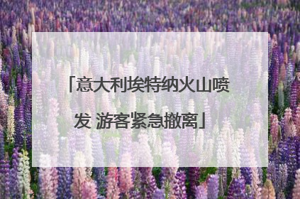 意大利埃特纳火山喷发 游客紧急撤离