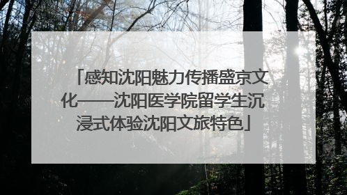 感知沈阳魅力传播盛京文化——沈阳医学院留学生沉浸式体验沈阳文旅特色