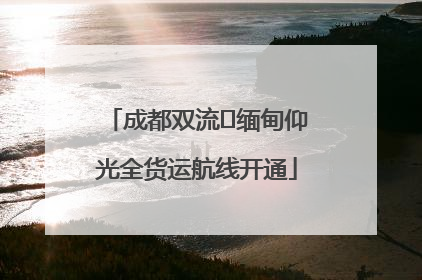 成都双流⇌缅甸仰光全货运航线开通
