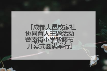 成都大邑校家社协同育人主题活动暨南街小学紫藤节开幕式圆满举行