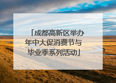 成都高新区举办年中大促消费节与毕业季系列活动