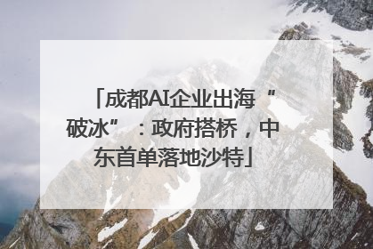 成都AI企业出海“破冰”：政府搭桥，中东首单落地沙特