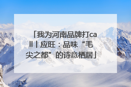 我为河南品牌打call丨应旺：品味“毛尖之都”的诗意栖居