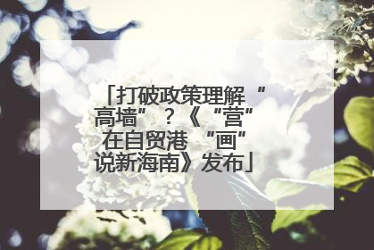 打破政策理解“高墙”？《“营”在自贸港 “画”说新海南》发布