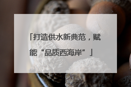 打造供水新典范，赋能“品质西海岸”